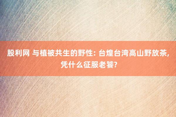 股利网 与植被共生的野性: 台煌台湾高山野放茶, 凭什么征服老饕?