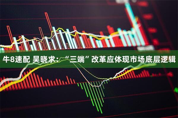 牛8速配 吴晓求：“三端”改革应体现市场底层逻辑
