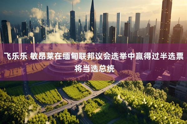 飞乐乐 敏昂莱在缅甸联邦议会选举中赢得过半选票 将当选总统