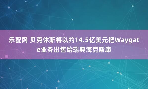 乐配网 贝克休斯将以约14.5亿美元把Waygate业务出售给瑞典海克斯康