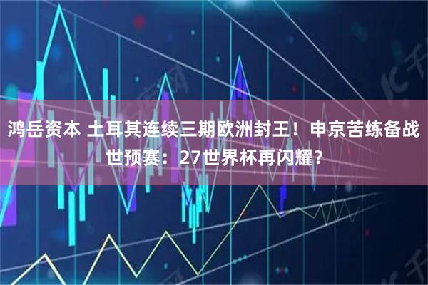 鸿岳资本 土耳其连续三期欧洲封王！申京苦练备战世预赛：27世界杯再闪耀？