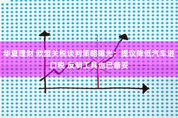 华夏理财 欧盟关税谈判策略曝光：提议降低汽车进口税 反制工具也已备妥