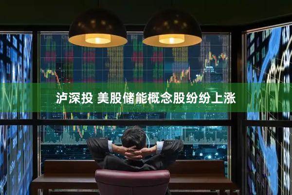 泸深投 美股储能概念股纷纷上涨