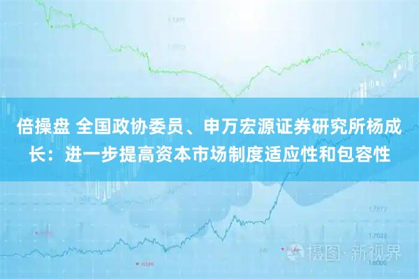 倍操盘 全国政协委员、申万宏源证券研究所杨成长：进一步提高资本市场制度适应性和包容性
