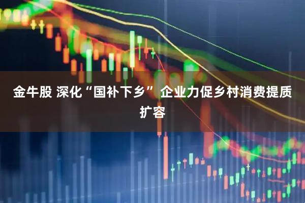 金牛股 深化“国补下乡” 企业力促乡村消费提质扩容