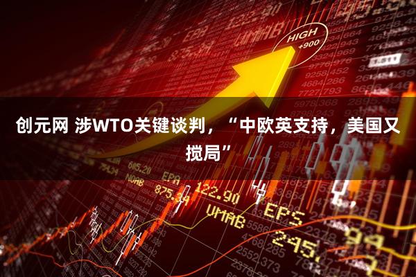 创元网 涉WTO关键谈判，“中欧英支持，美国又搅局”