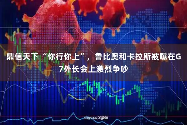 鼎信天下 “你行你上”，鲁比奥和卡拉斯被曝在G7外长会上激烈争吵