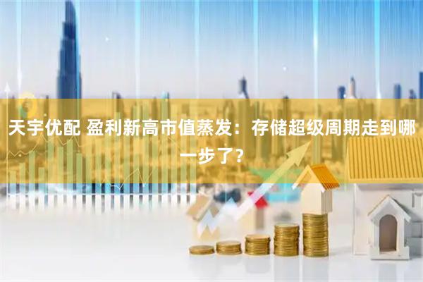 天宇优配 盈利新高市值蒸发：存储超级周期走到哪一步了？