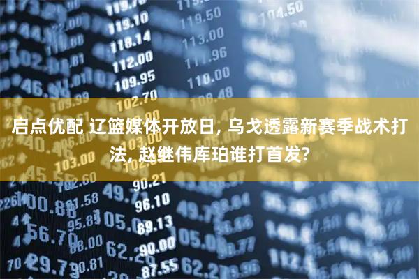 启点优配 辽篮媒体开放日, 乌戈透露新赛季战术打法, 赵继伟库珀谁打首发?